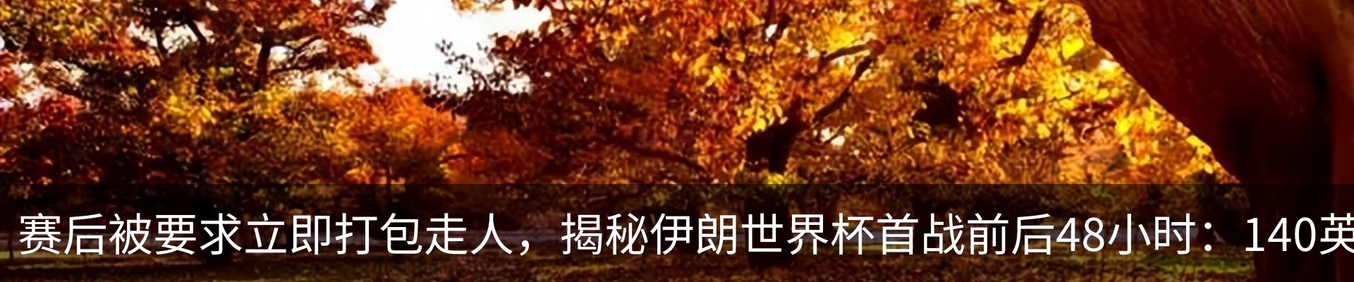 行业资讯