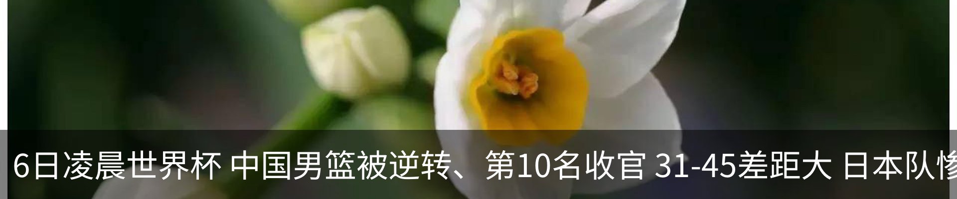 行业资讯
